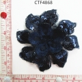 CTF4868