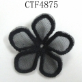 CTF4875