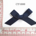 CTF4880