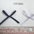 CTF4881
