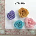 CTF4910