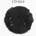 CTF4919
