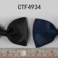 CTF4934