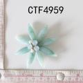CTF4959