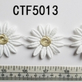 CTF5013
