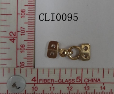 CLI0095