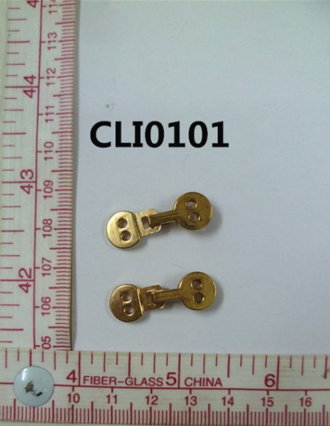 CLI0101