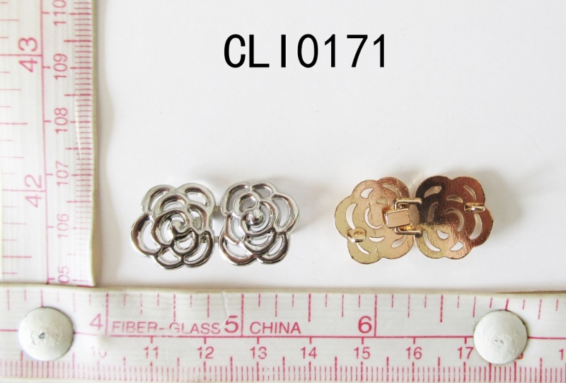 CLI0171