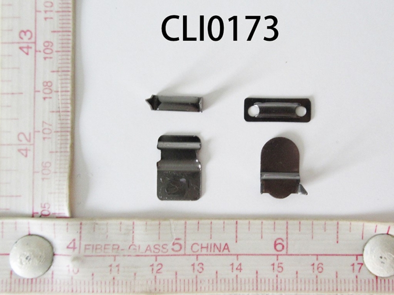 CLI0173
