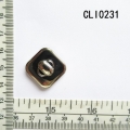 CLI0231