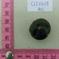CLE0269