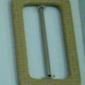 CLE0291