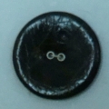 CLE0295