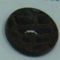 CLE0486