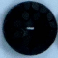CLE0538