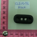 CLE0598