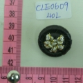 CLE0609