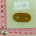 CLE0646