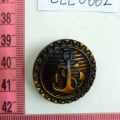 CLE0662