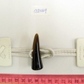 CLE0669