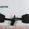 CLE0704