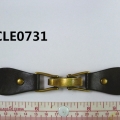 CLE0731