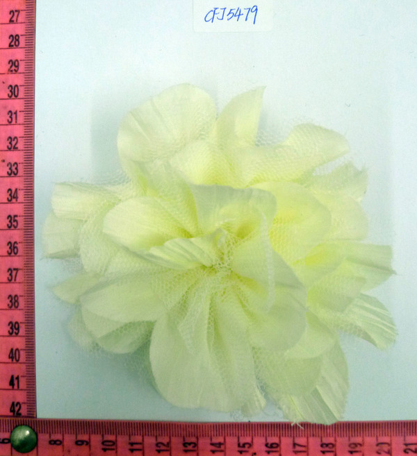 CFJ5479