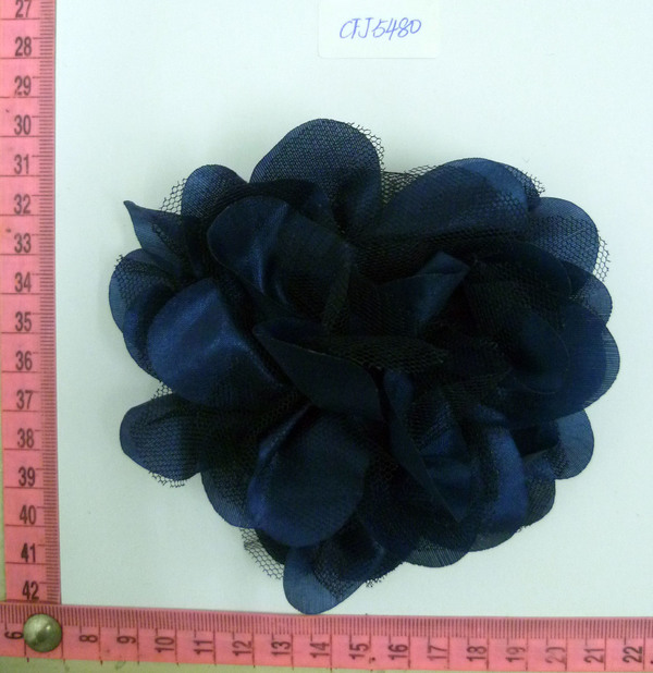 CFJ5480