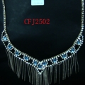 CFJ2502