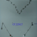 CFJ2916-2917