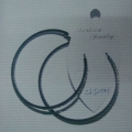 CFJ2943