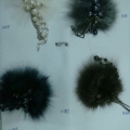 CFJ2959col.2
