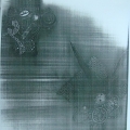 CFJ2980-2981