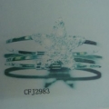 CFJ2983