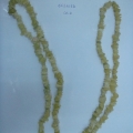 CFJ3056col.2