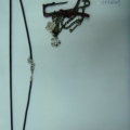CFJ3348-3349