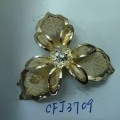 CFJ3709