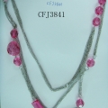 CFJ3841