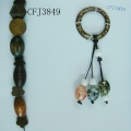 CFJ3849-3850