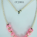CFJ3851