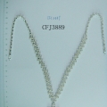 CFJ3889