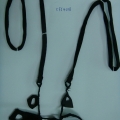 CFJ4018