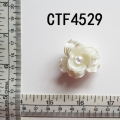 CFJ4529 (2)