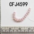 CFJ4599 (2)