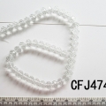 CFJ4741 (2)