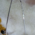 CFJ4883