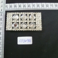 CFJ4981