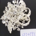 CFJ4995