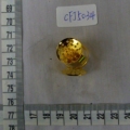 CFJ5034
