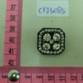 CFJ5085